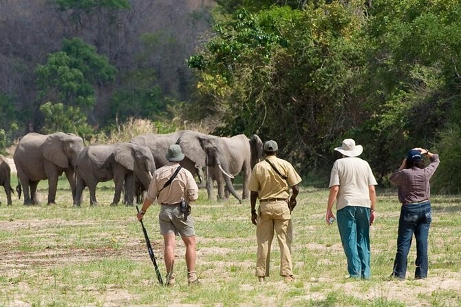 3-Days Private Nyerere NP Game Drive and Boat safari tour - The three to four-hour road journey into the park