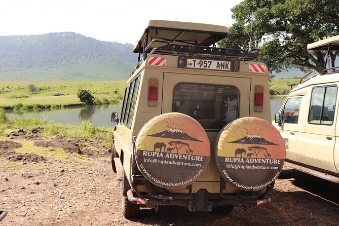 3 Days Private Safari - manyara, Ngorongoro & Tarangire - Day 3: Tarangire’s elephants and baobabs