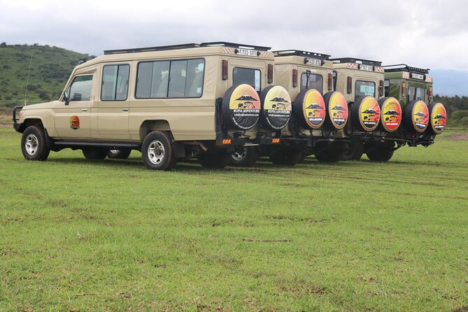 3 Days Private Safari - manyara, Ngorongoro & Tarangire - Guides can make or break a short safari