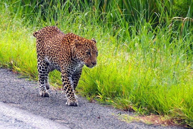 3 Days Safari at Mikumi National Park Southern circuit of Tanzania - The long road south from Dar es Salaam