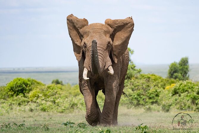 3 days safari in North- Ngorongoro, Tarangire, Mt. Oldeani - Accommodation, meals, and comfort