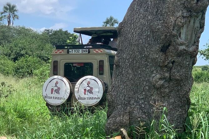 3 days safari in North- Ngorongoro, Tarangire, Mt. Oldeani - Who will enjoy this three-day route?