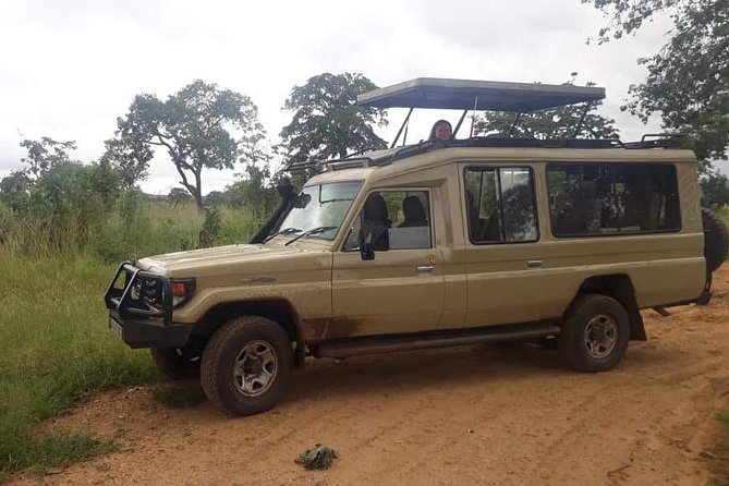 3 Days Safari - Mikumi National Park - Day three: an early drive before returning to Dar