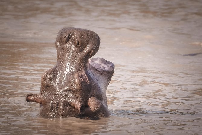 3 Days Safari - Mikumi National Park - What the $900 price really covers