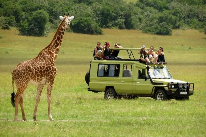 3 Days Safari Ngorongoro Crater and Serengeti National Park - The small-group advantage