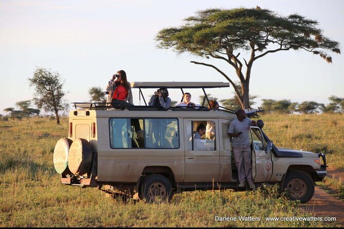 3 Days Safari Ngorongoro Crater and Serengeti National Park - Communication and guide support