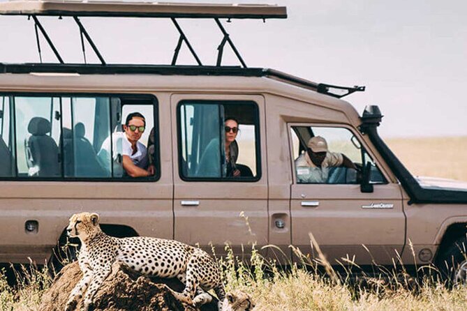 3 Days Safari Ngorongoro Crater and Serengeti National Park - Weather, seasons, and what you may see