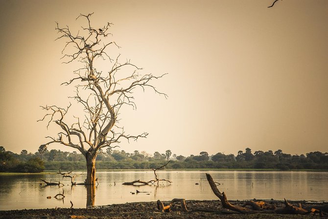 3 Days Safari - Selous Game Reserve - Quick points to know before booking