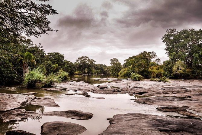 3 Days Safari - Selous Game Reserve - Day 2: nine hours of wildlife searching