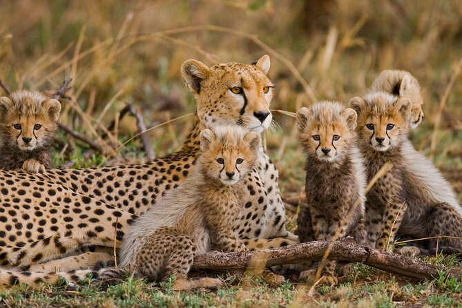 3 Days Safari Serengeti & Ngorongoro Crater - Day one: the long road from Arusha to Serengeti
