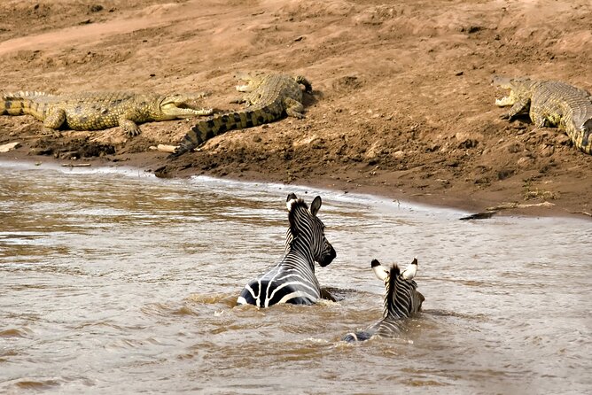 3 Days Safari Serengeti & Ngorongoro Crater - What the $750 price really covers