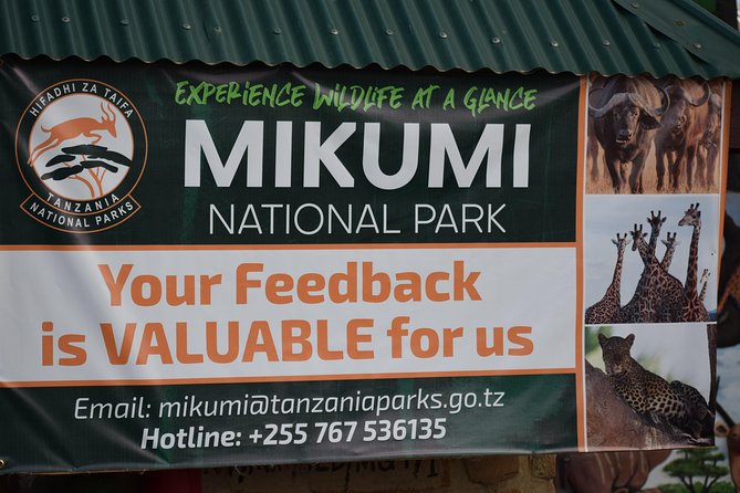 3 days safari to Mikumi and Udzungwa - Day two: eight hours among Mikumi’s animals