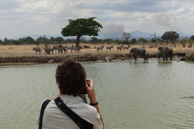 3 Days Safari to Mikumi NP - Accommodation Inside the Park - Inside the park or outside it?