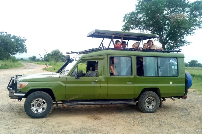 3 Days Safari to Mikumi NP - Accommodation Inside the Park - Day 2: The main safari day in the Mkata Floodplain