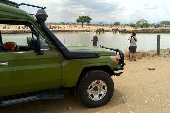 3 Days Safari to Mikumi NP - Accommodation Inside the Park - Day 3: Sunrise wildlife or a direct return