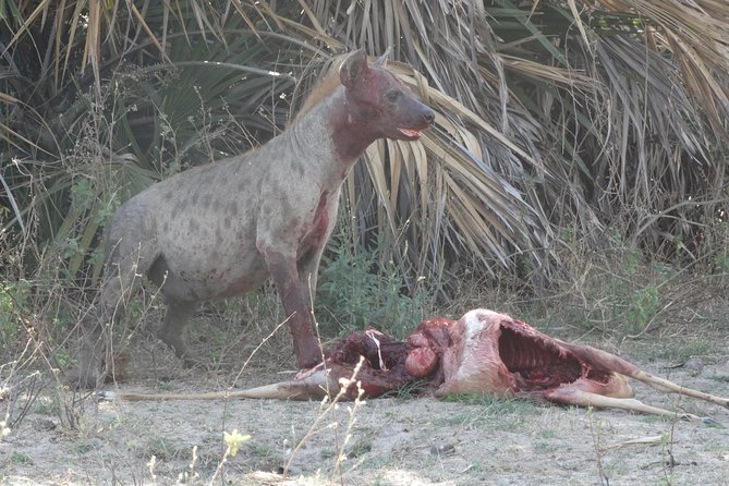 3 Days Safari to Nyerere National Park (Selous Game Reserve) - What the $1,155.13 price really covers