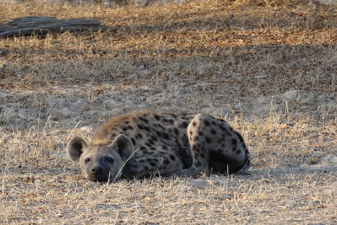 3 Days Safari to Nyerere National Park (Selous Game Reserve) - The tradeoffs you should consider