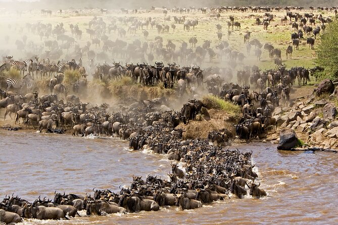 3 days Safari to Tarangire, Ngorongoro and Manyara from Zanzibar - Why this Zanzibar safari works for a short holiday