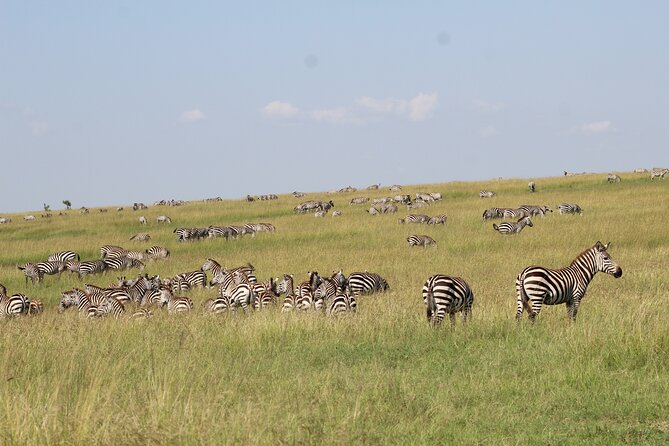 3 Days Safari Tour in Lake Manyara and Ngorngoro - Key points to know before booking