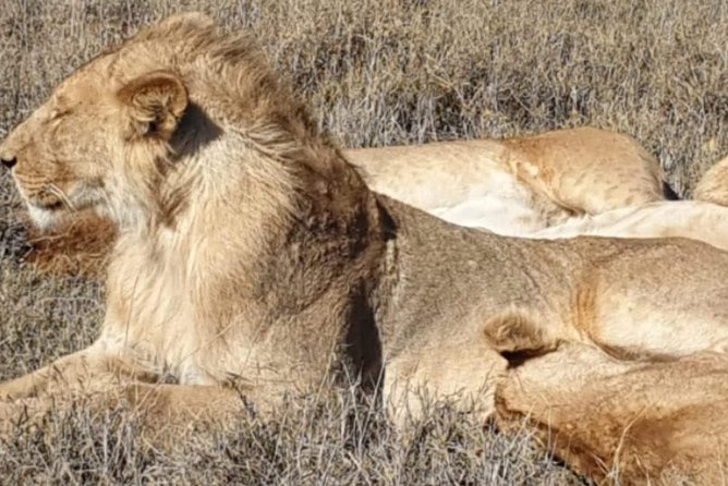 3 Days Selous Game Reserve Fly From Zanzibar - What the $1,250.88 price really covers