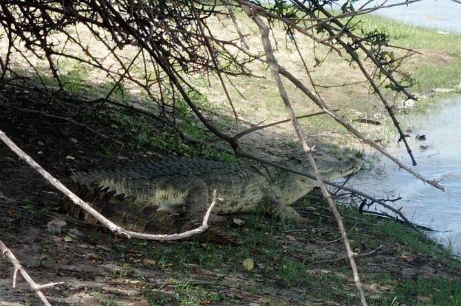 3 Days Selous (Nyerere National Park) - Day 3: The walking safari and return to the coast