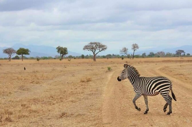 3 Days Selous (Nyerere National Park) - Is $850 per person good value?