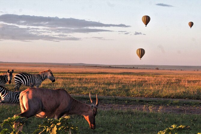 3 Days Serengeti and Ngorongoro Crater Safari from Mwanza to Arusha - Day 2: A full day inside Ngorongoro Crater