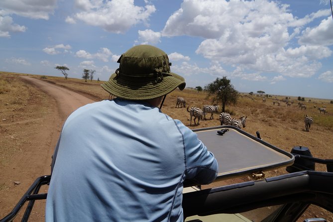 3 Days Serengeti and Ngorongoro Crater Safari from Mwanza to Arusha - Day 1: Reaching the Serengeti
