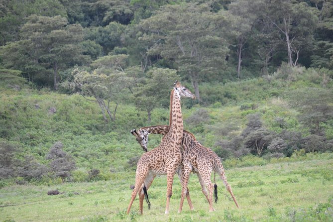3 Days Serengeti & Ngorongoro Crater group safari - A six-person jeep changes the experience