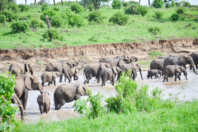 3 Days Serengeti & Ngorongoro Crater group safari - Meals, drinks, and what the price really covers