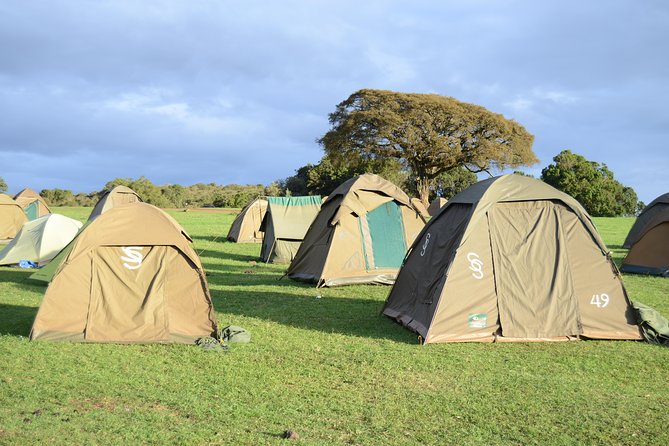 3 Days Serengeti & Ngorongoro Crater group safari - Who should book this safari?