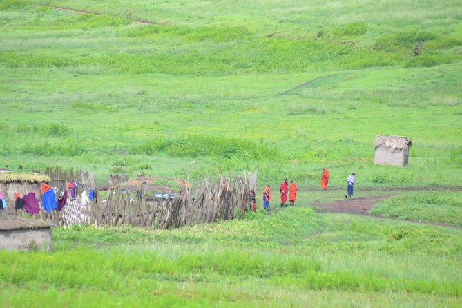 3 Days Serengeti & Ngorongoro Crater group safari - Day one: Arusha to Serengeti by way of Ngorongoro