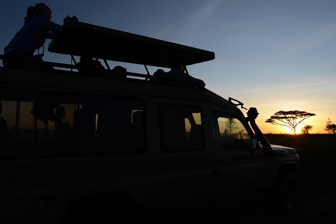 3 Days Serengeti & Ngorongoro Lodge Safari - Day 2: A full Serengeti game drive