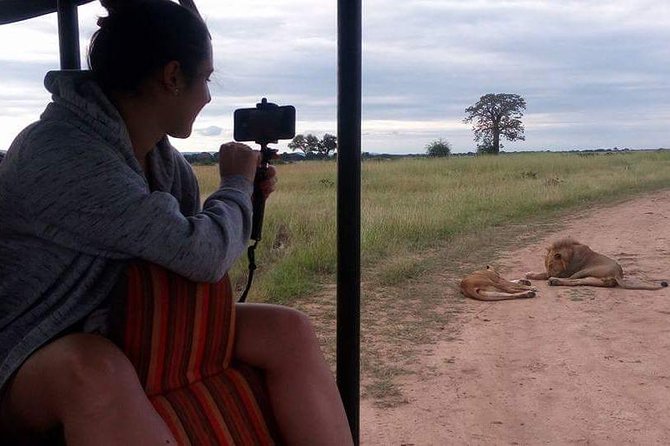 3 Days Serengeti & Ngorongoro Tour - The guides and cooks can shape the whole safari