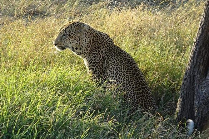 3 Days Serengeti & Ngorongoro Tour - What the $800 price buys you