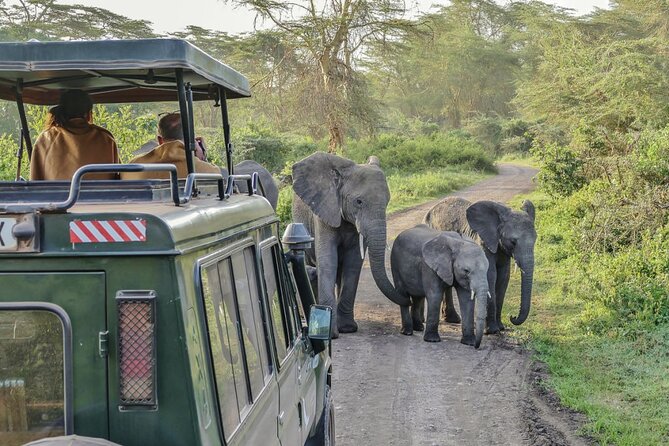 3 Days Serengeti Park & Ngorongoro Crater Adventure Safari - Why this three-day safari works