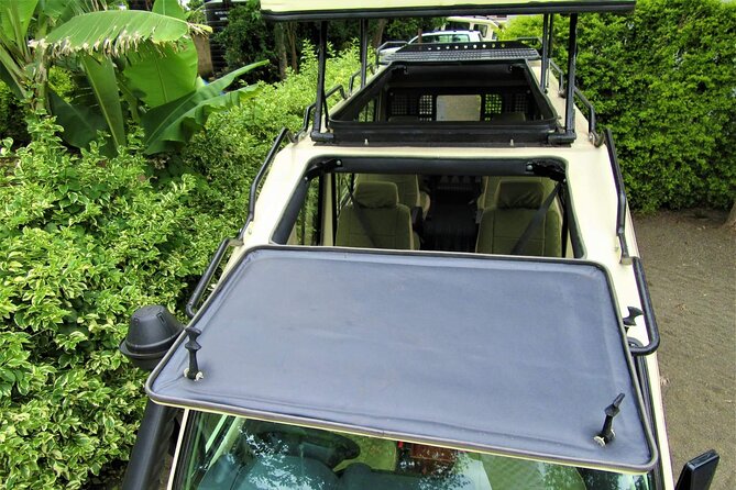 3 Days Serengeti Park & Ngorongoro Crater Adventure Safari - The private format and group size
