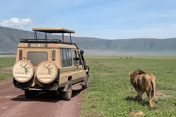 3 Days Small Group Safari to Serengeti NP and Ngorongoro Crater Tour in Tanzania - What $815 buys you in Tanzania
