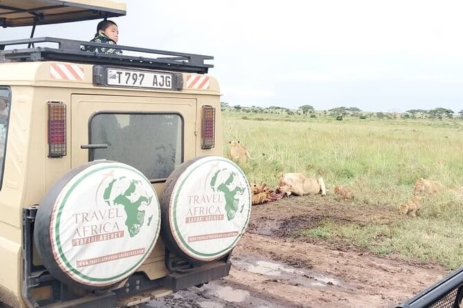 3 Days Small Group Safari to Serengeti NP and Ngorongoro Crater Tour in Tanzania - Guides, group size, and the human side of the safari