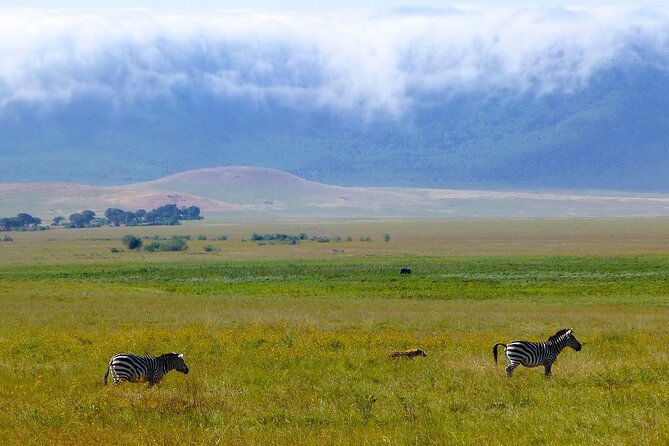 3 Days Tanzania Safari: Tarangire, Manyara and Ngorongoro Crater - What this three-day route does well