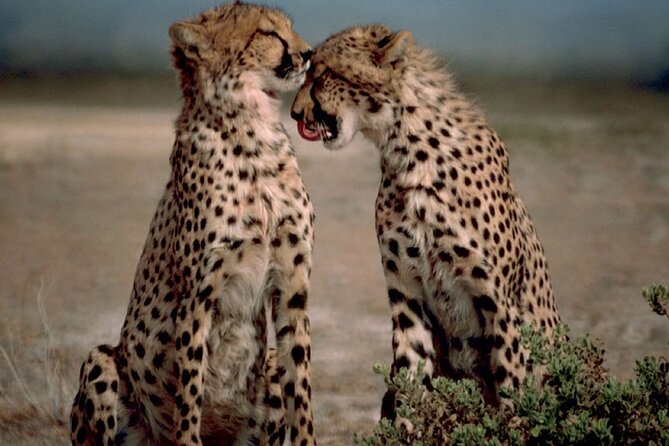 3 Days Tanzania Safari to Manyara Tarangire and Ngorongoro - Why this three-day route works so well