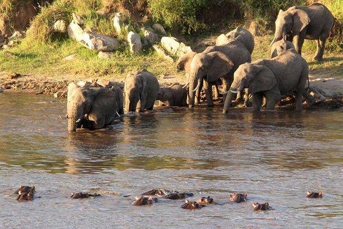 3-Days Tanzania Safari Tours - Three parks, three different safari moods