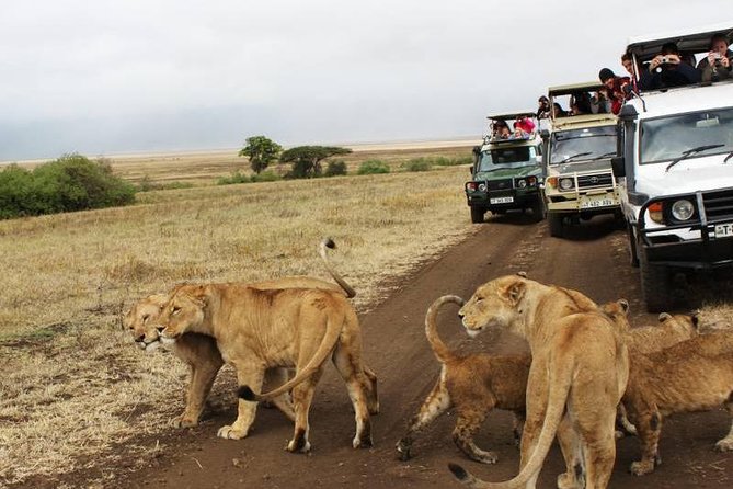 3-Days Tanzania Safari Tours - The early starts and long road days