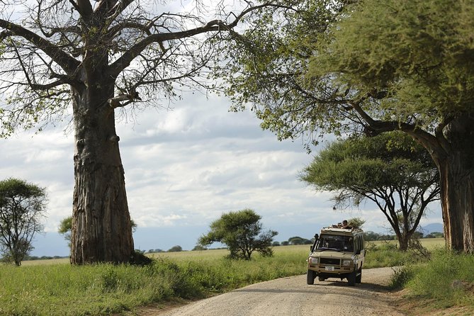 3-Days Tanzania Safari Tours - How dependable is the booking?