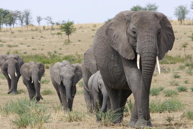 3 Days Tanzania Short and Spicy - Four details that shape the experience