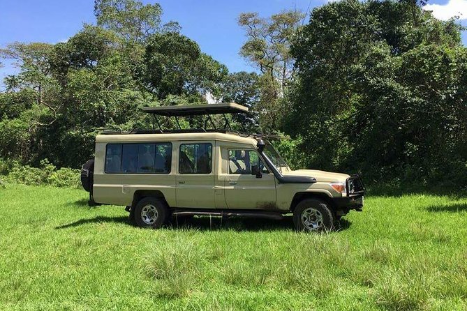 3 days Tarangire, Lake Manyara and Ngorongoro - Day one: elephants and open country in Tarangire