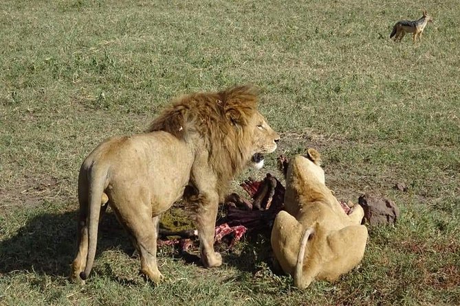 3 days Tarangire, Lake Manyara and Ngorongoro - Practical details to settle before departure
