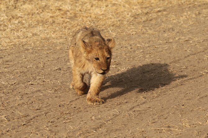 3 Days Tarangire, Ngorongoro & Lake Manyara Group Camping Safari - Why this three-day route works