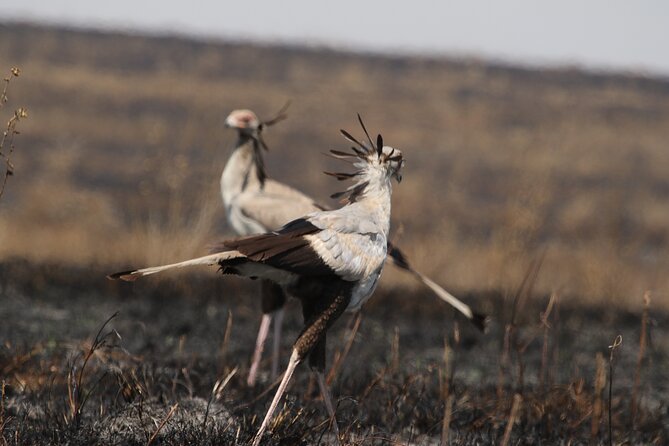 3 Days Tarangire, Ngorongoro & Lake Manyara Group Camping Safari - Booking advice and cancellation terms