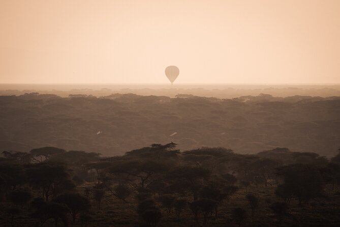3 days to Serengeti NP and Ngorongoro Crater Tour in Tanzania - What the $800 safari covers